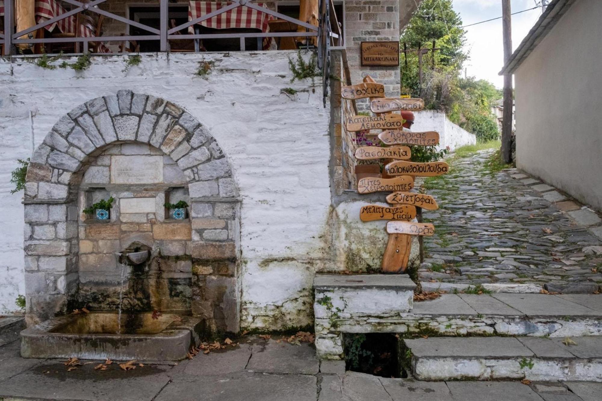 Archontiko Michael Pelion Aparthotel Vizitsa Exterior photo