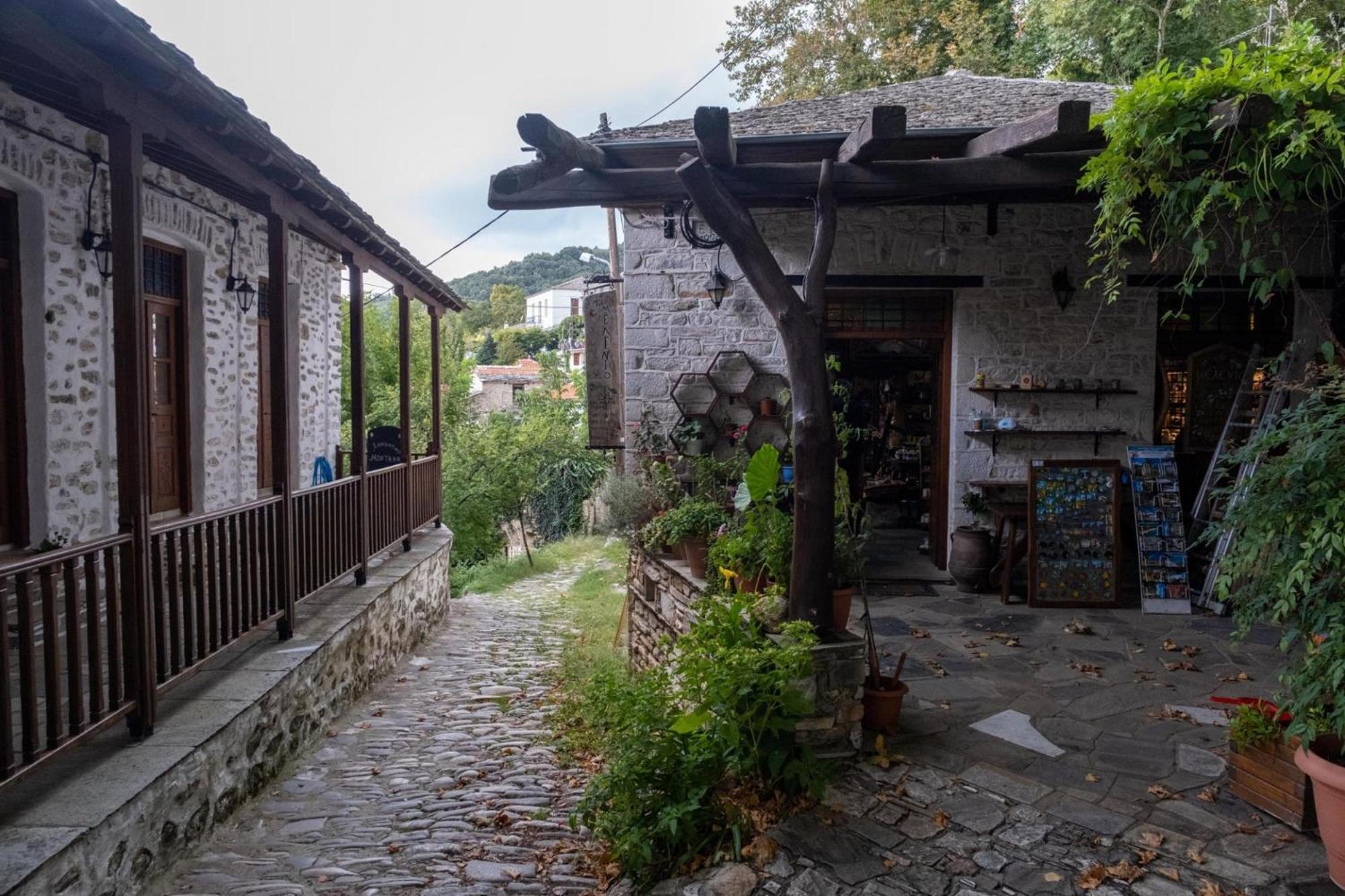 Archontiko Michael Pelion Aparthotel Vizitsa Exterior photo