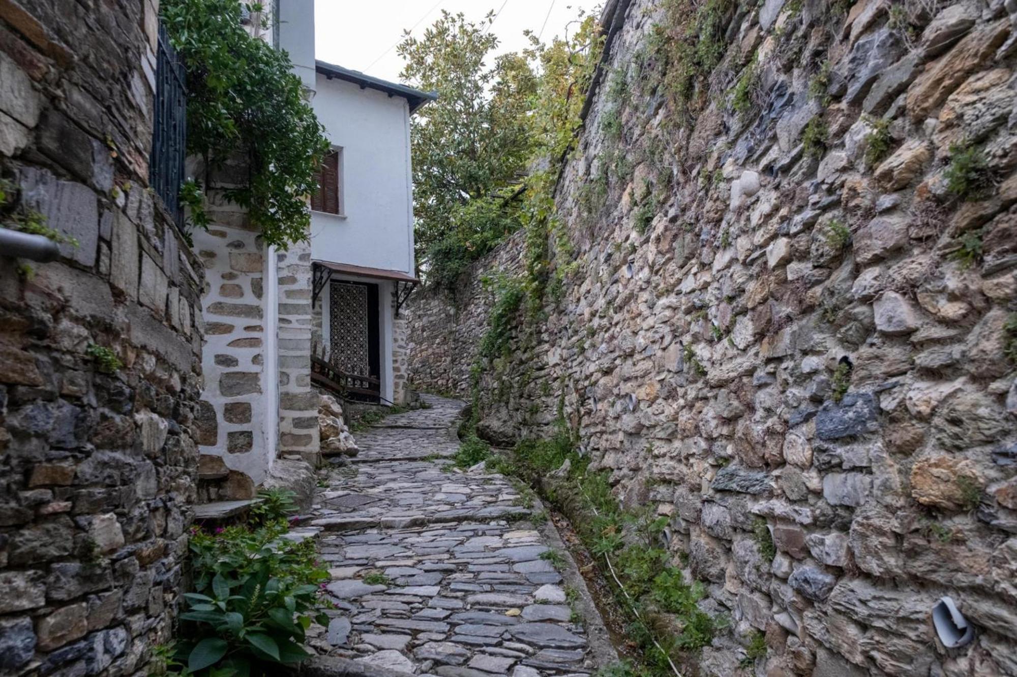 Archontiko Michael Pelion Aparthotel Vizitsa Exterior photo