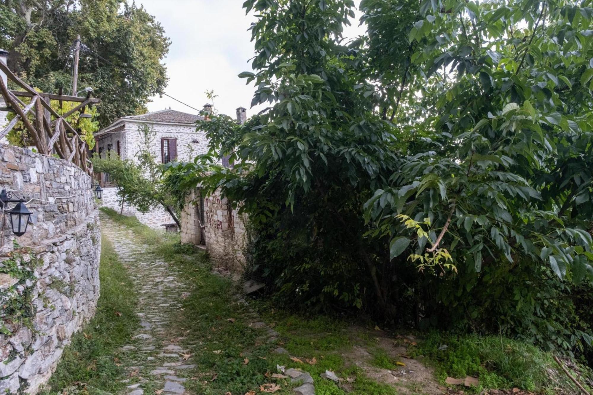 Archontiko Michael Pelion Aparthotel Vizitsa Exterior photo
